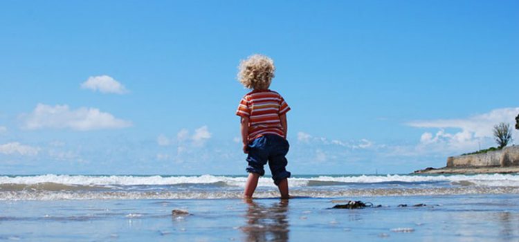 Chemical Sunscreen Ingredients Chemical Sunscreen Ingredients